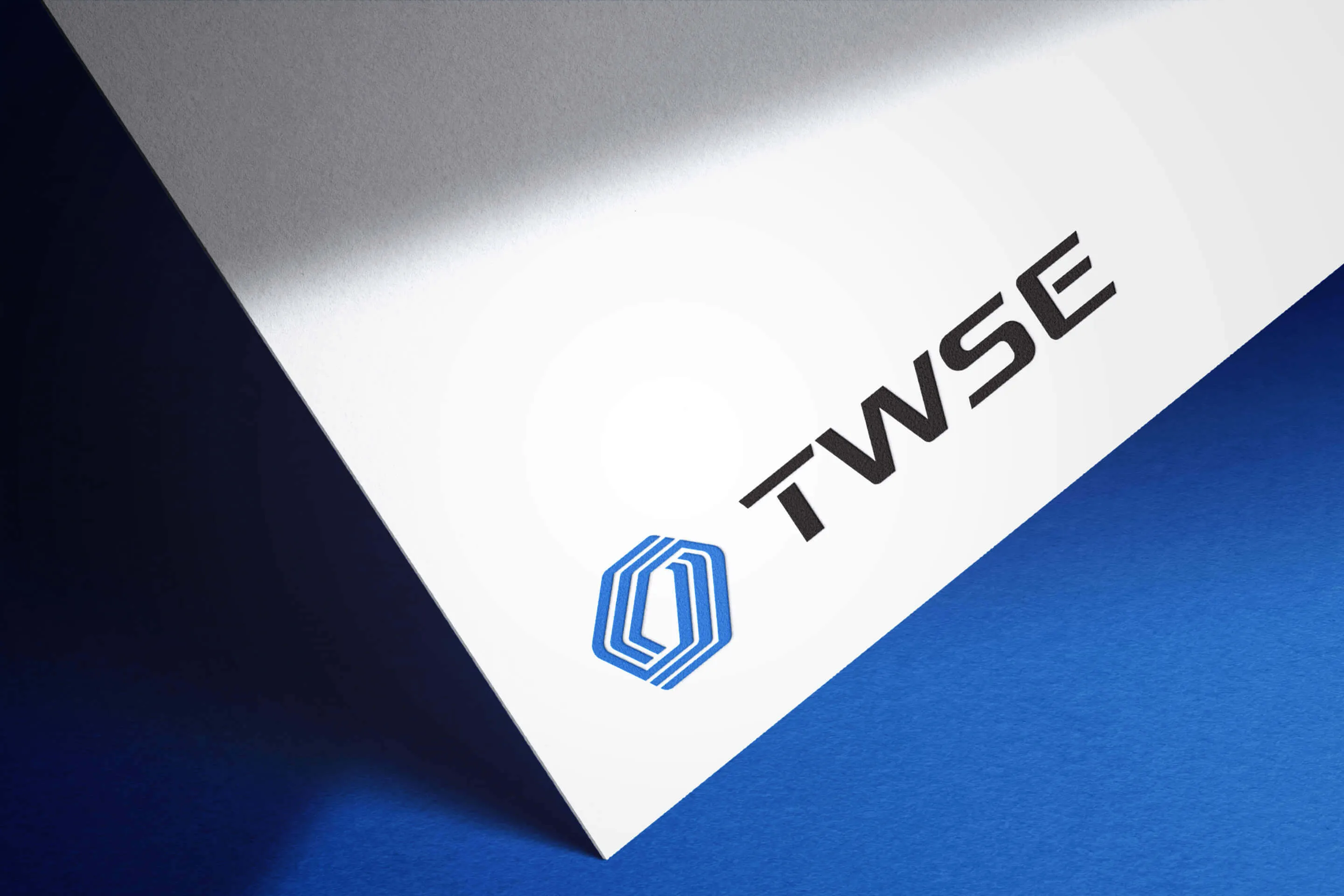 臺灣證交所 標誌視覺形象優化提案