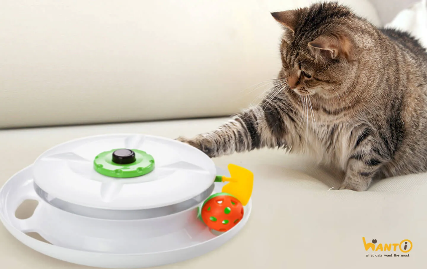 旺艾科技品牌識別設計