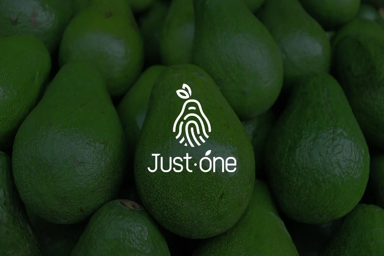 Justone 品牌形象商標識別設計