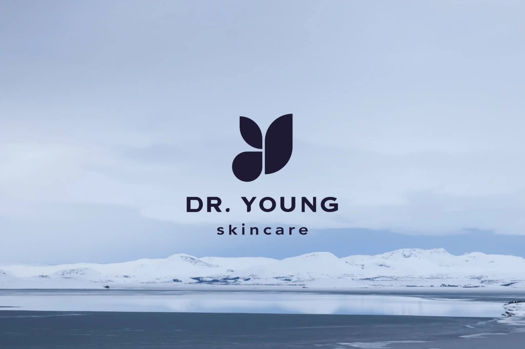 Dr. Young 企業品牌識別設計