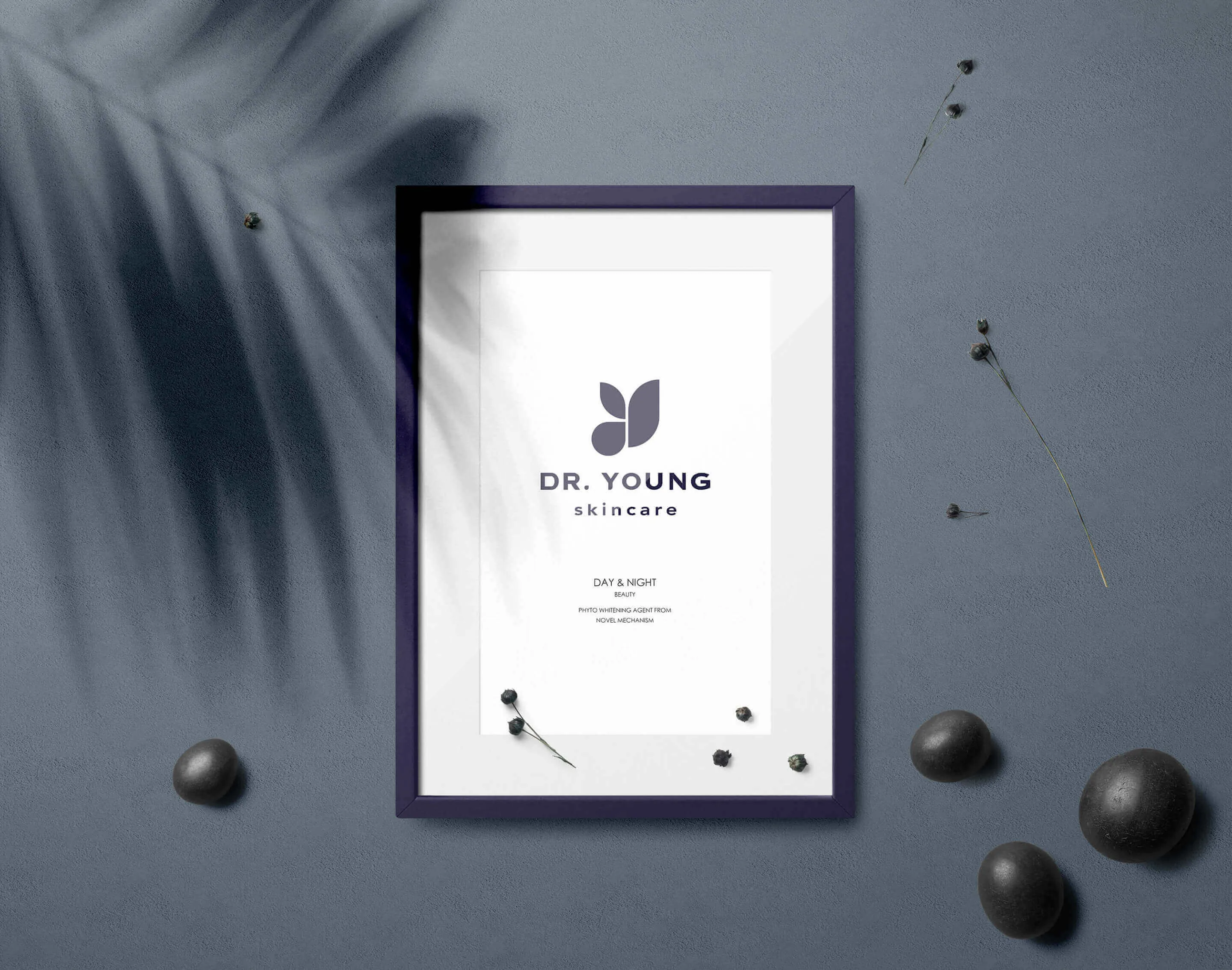 Dr. Young 品牌識別設計