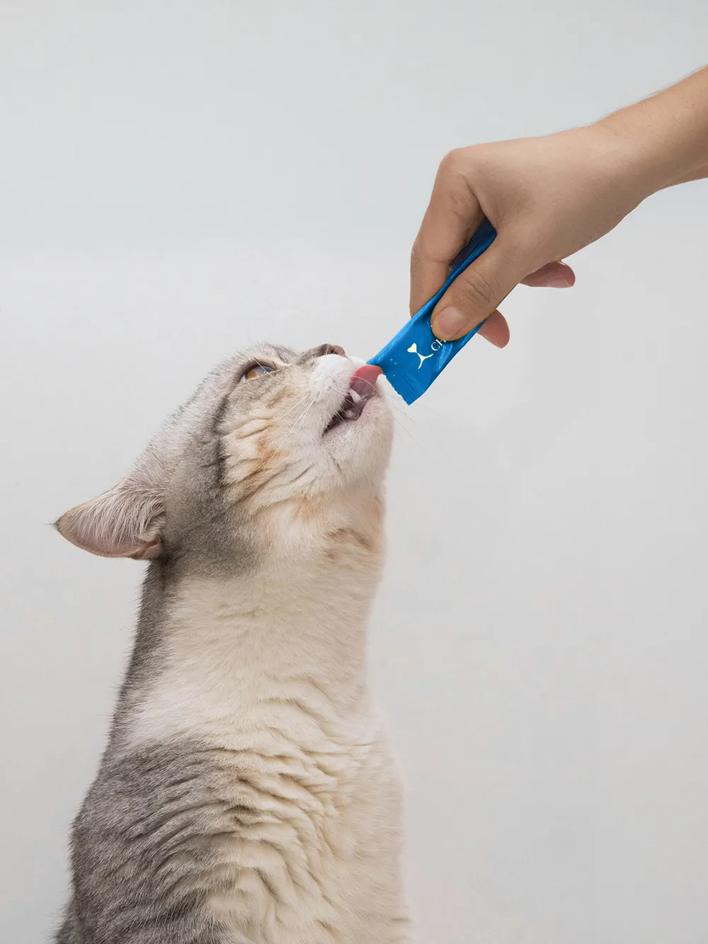 À mon chouchou 品牌識別設計